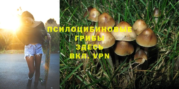 ешки Алексеевка
