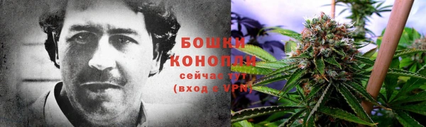 ешки Алексеевка